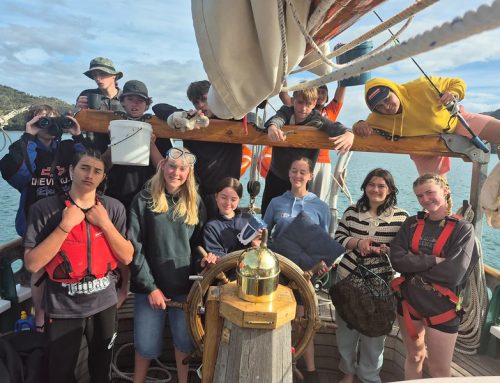 Tim Grant Memorial Scholarship