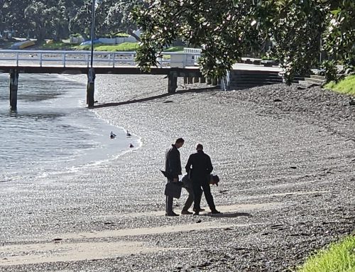 Coastal erosion experts visit Kororareka