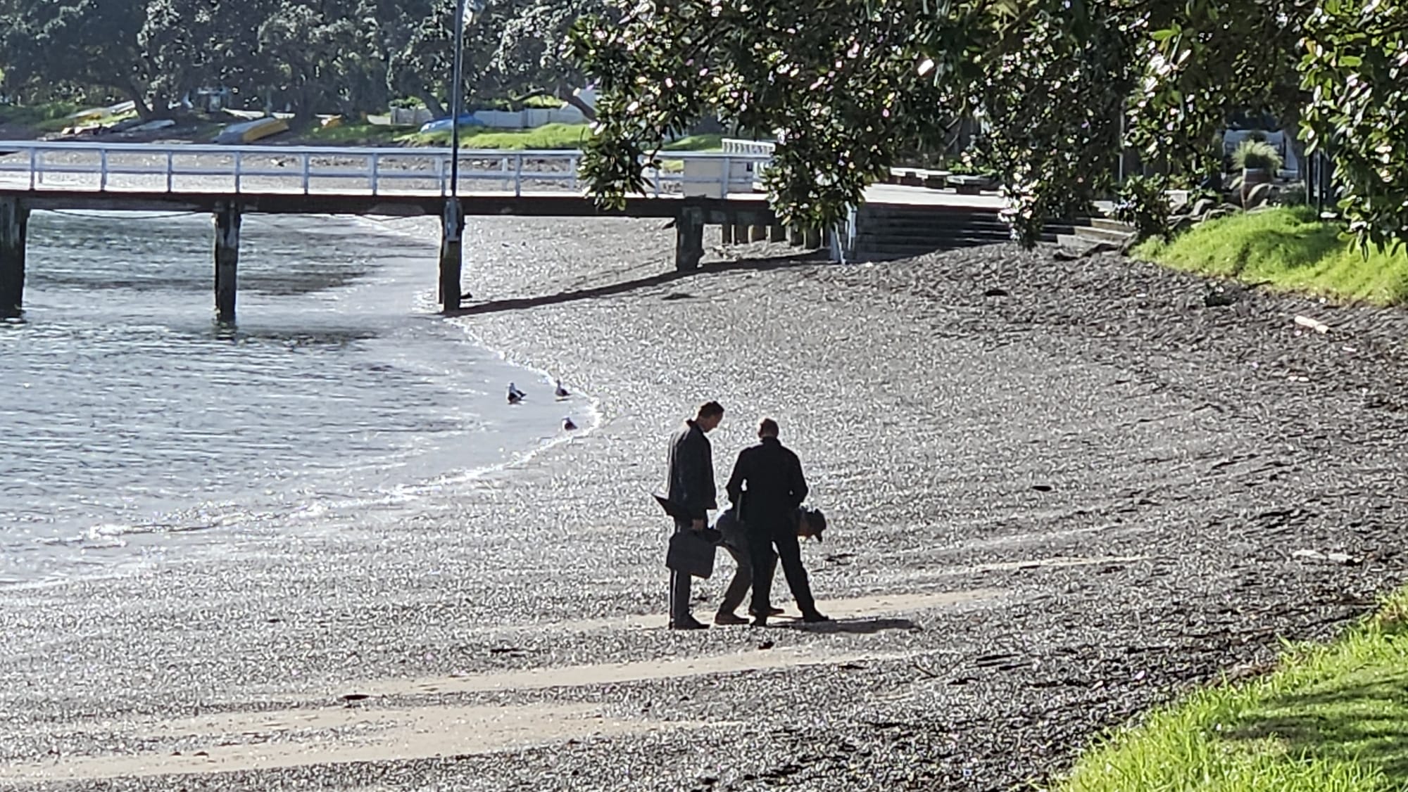 Visiting Experts examine beach