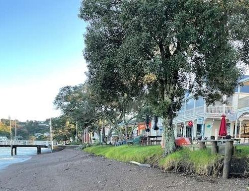 Coastal Process Assessment