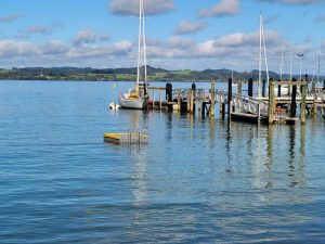 Pontoon back for summer