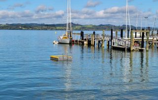 Pontoon back for summer