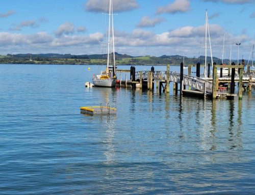 Pontoon escapades – the sequel